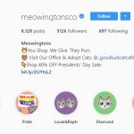 Meowingtons instagram